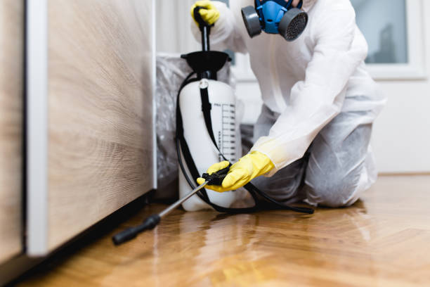 Best Exterminator Services  in Dillon, SC