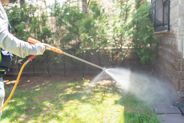 Best Pest Prevention Services  in Dillon, SC