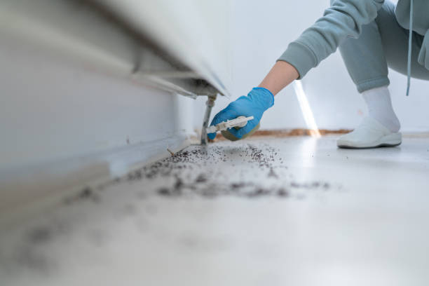 Best Cockroach Control Services  in Dillon, SC
